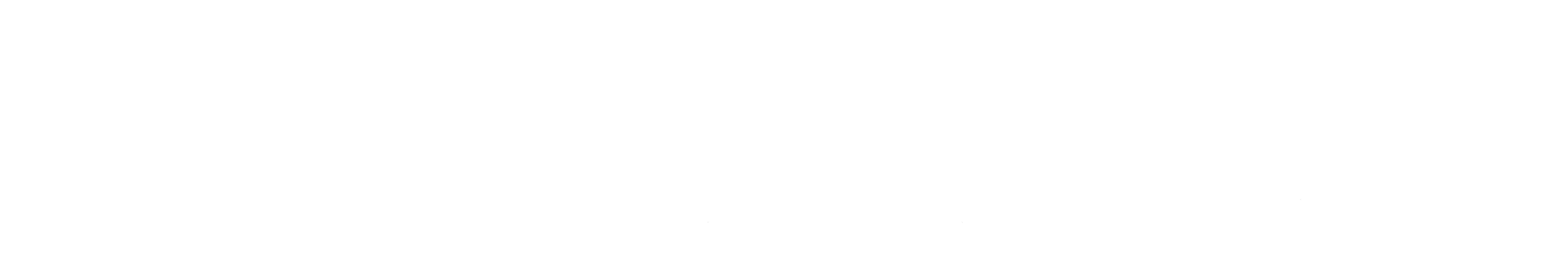 Lepton Sistemas
